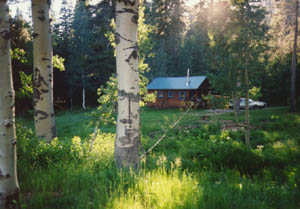 Cabin in Summer